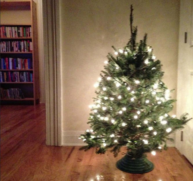 Apartment Christmas Tree
 Christmas Tree Maintenance for Your NYC Apartment