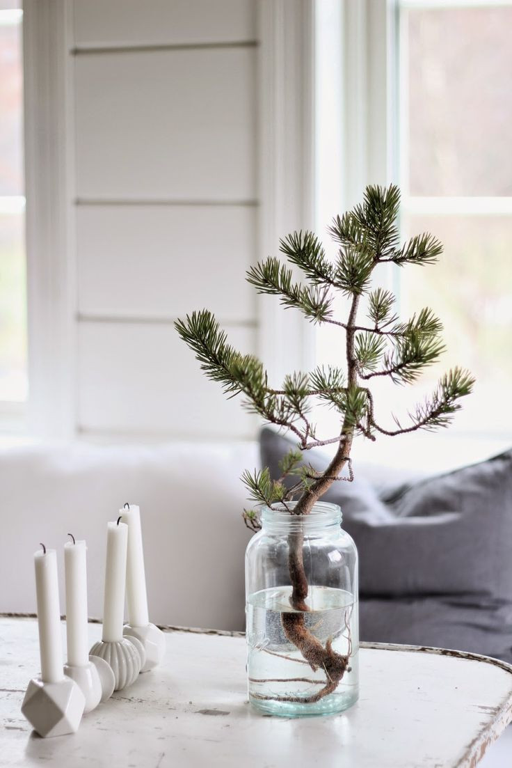 Apartment Sized Christmas Trees
 25 unique Advent candles ideas on Pinterest