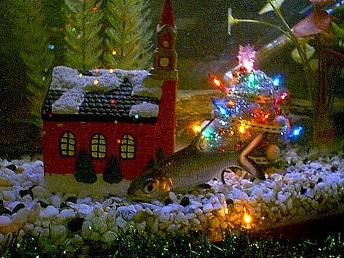 Aquarium Christmas Decor
 christmas fish tank decorations Google Search