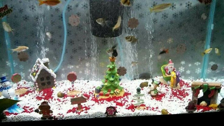 Aquarium Christmas Decor
 Christmas fish tank $ Fish and Tanks $