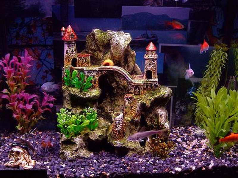 Aquarium Christmas Decor
 Perking Up Dull Aquarium with Fish Tank Decoration