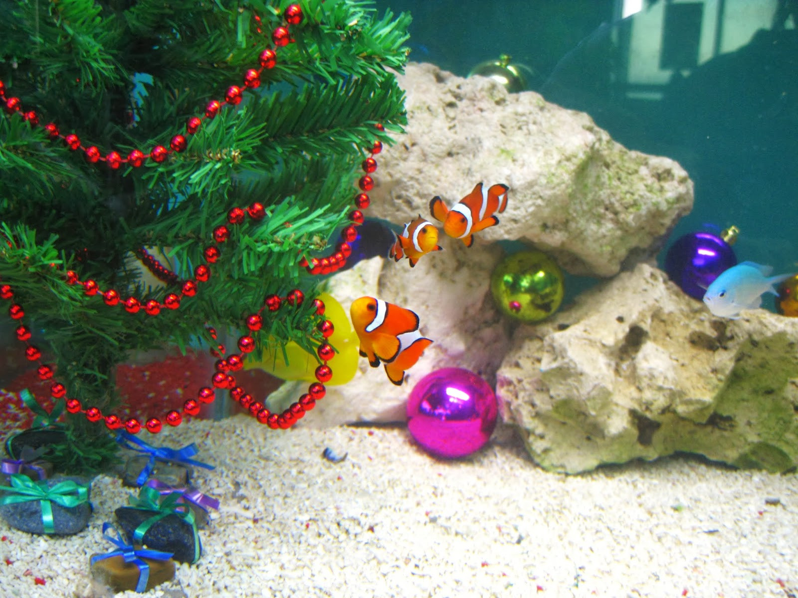 Aquarium Christmas Decor
 saltwater fish tank xmas decorations 2017 Fish Tank