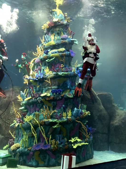Aquarium Christmas Tree
 A Parent’s Guide to Adventure Aquarium’s Christmas