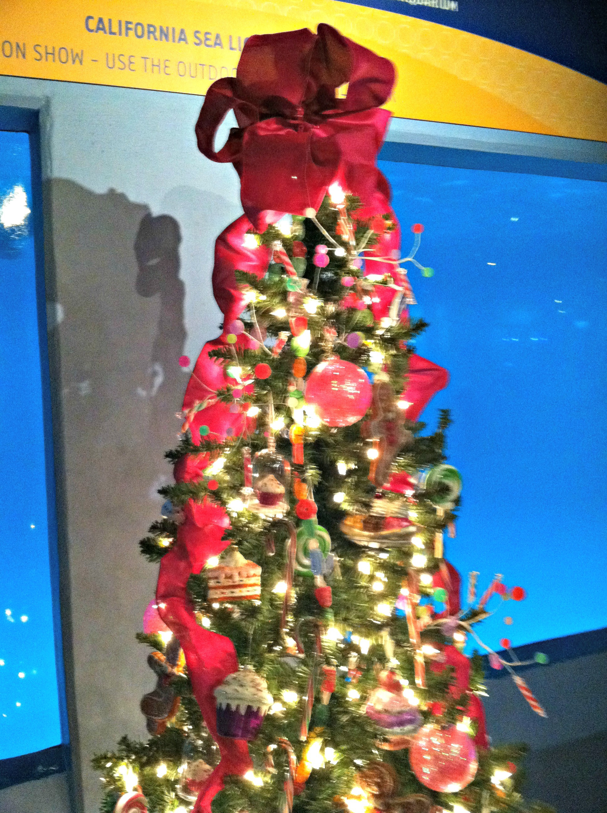 Aquarium Christmas Tree
 A Visit to Mystic Aquarium During the Holiday Season