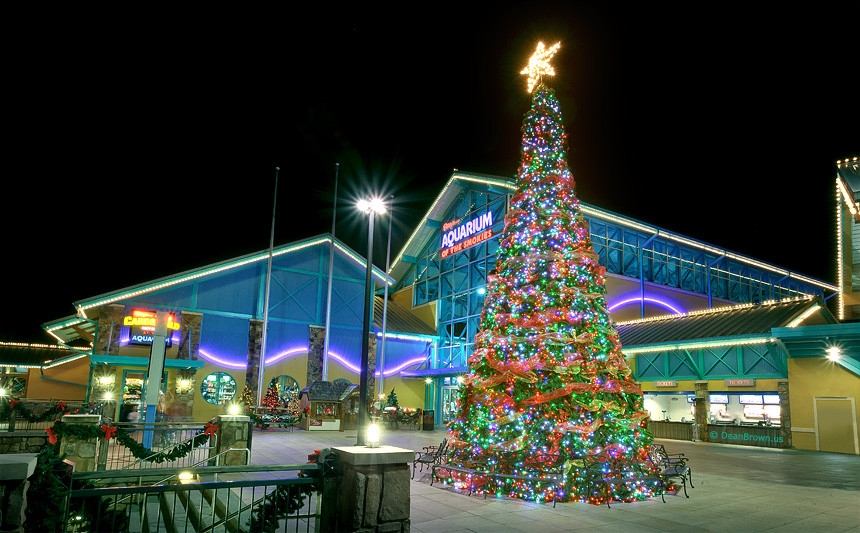 Aquarium Christmas Tree
 of Gatlinburg Lights 2012