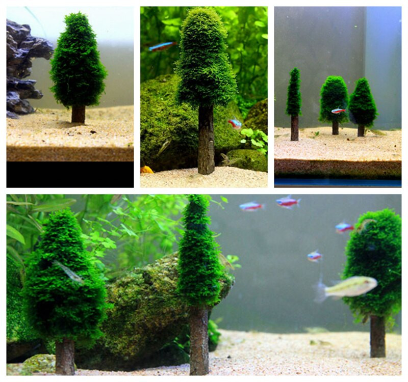 Aquarium Christmas Tree
 2 pcs moss christmas trees frame shrimp tank fish tank