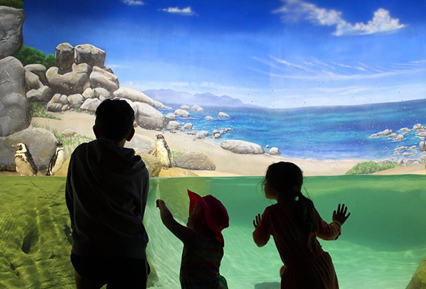 Aquarium Thanksgiving Point
 The Best NJ Zoos and Aquariums for Animal Encounters with