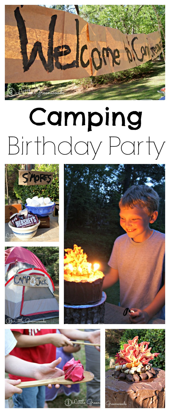 Backyard Camping Birthday Party Ideas
 Camping Birthday Party Fun