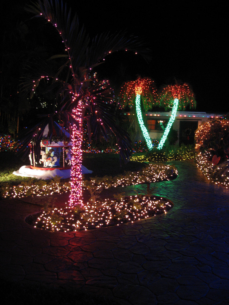 Backyard Christmas Lights
 Top 10 Biggest Outdoor Christmas Lights House Decorations