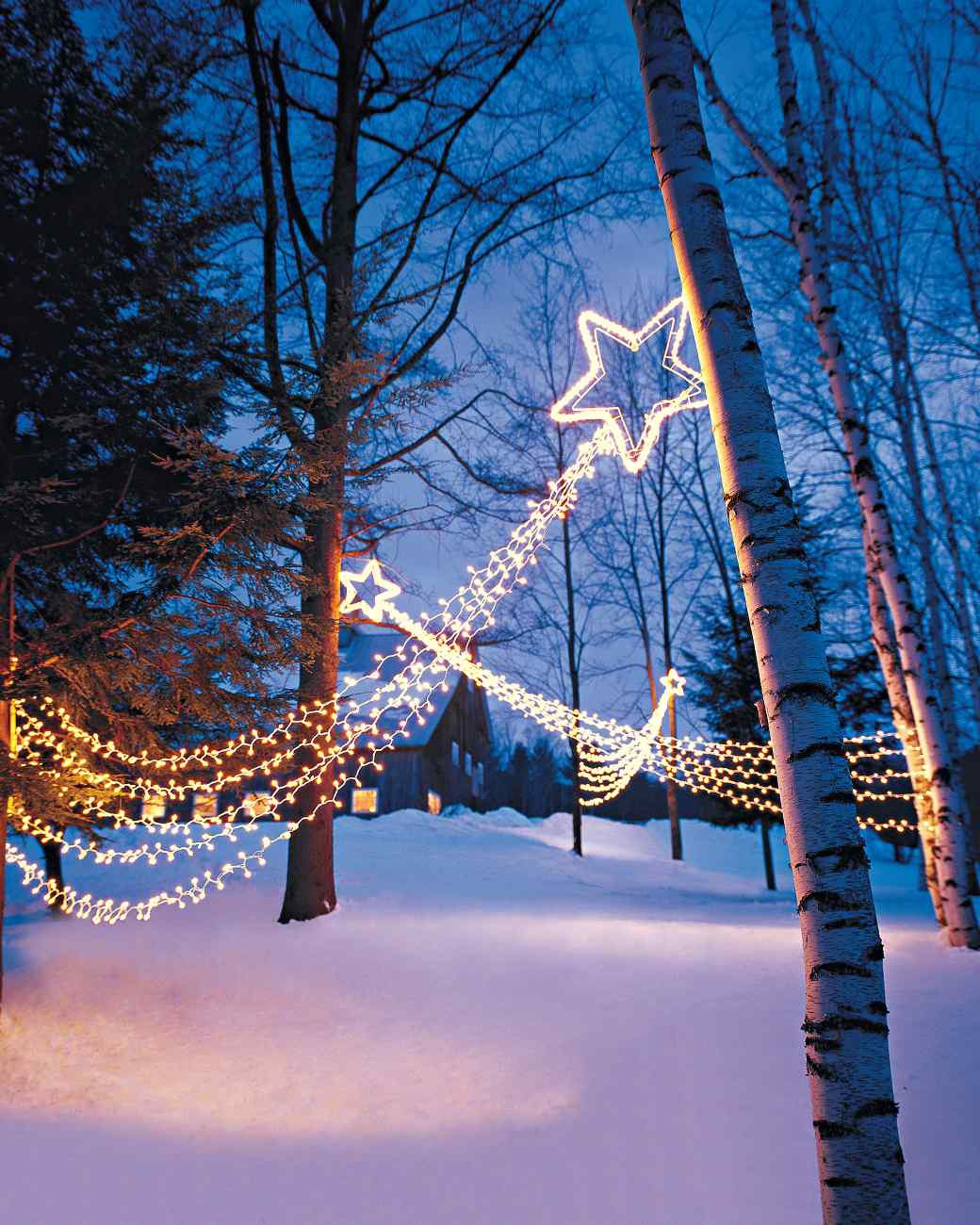 Backyard Christmas Lights
 15 Beautiful Christmas Outdoor Lighting DIY Ideas