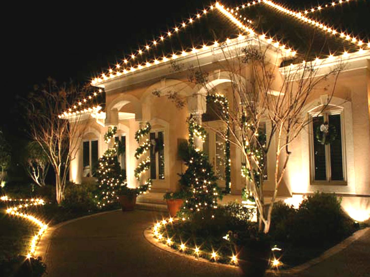 Backyard Christmas Lights
 Swingle CEO July Increase in Christmas Lighting and