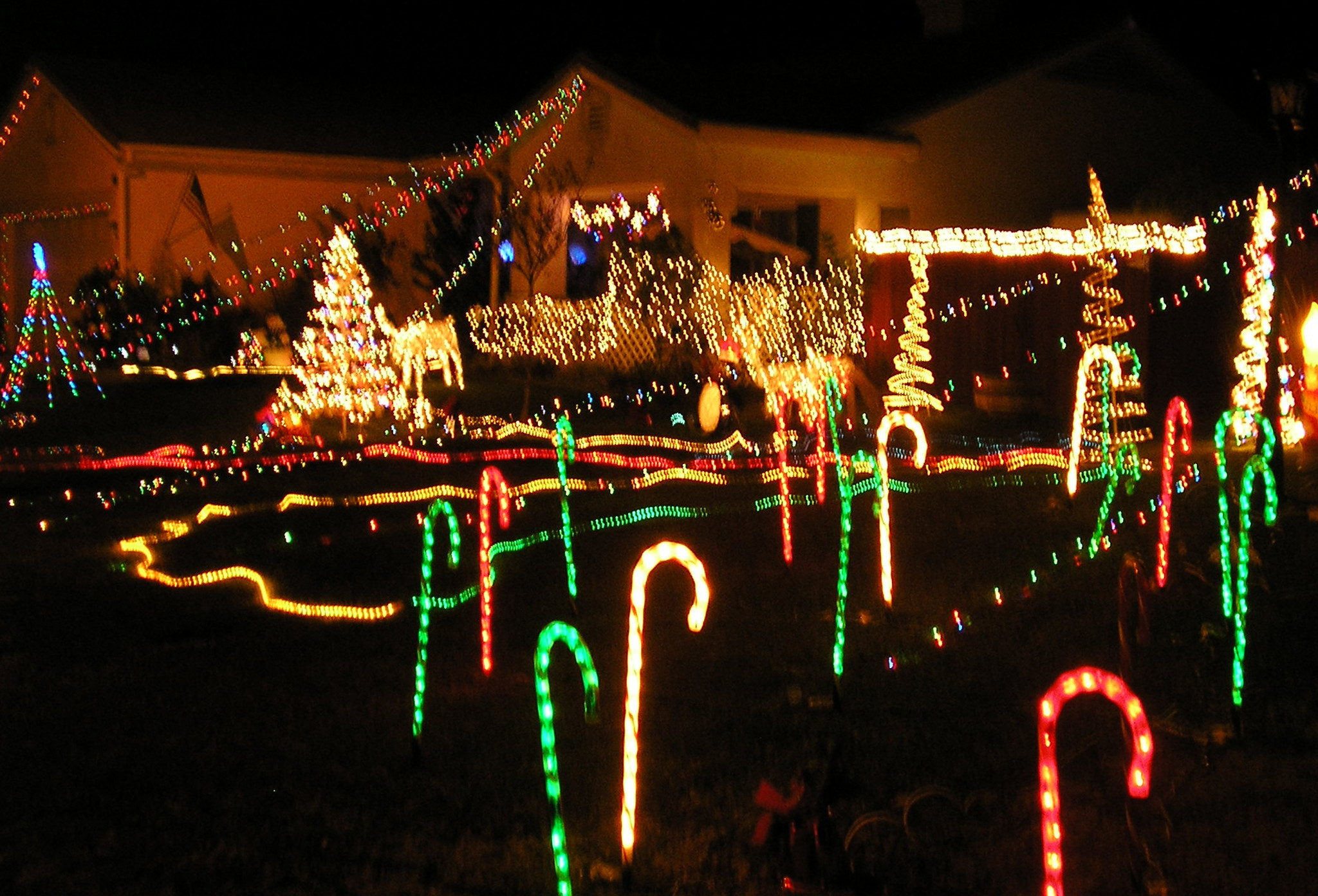 Backyard Christmas Lights
 reason for season