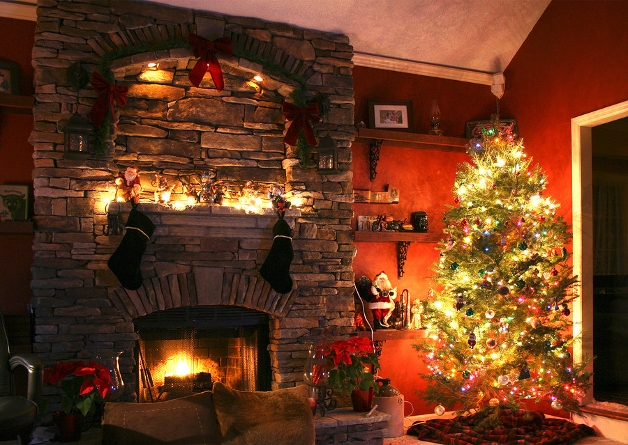 Beautiful Christmas Fireplace
 Tips for a Pest Free Holiday Good News Pest Solutions