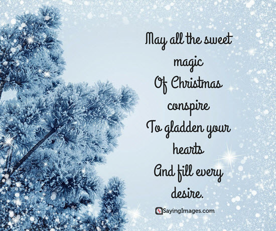 Beautiful Christmas Quotes
 Best Christmas Cards Messages Quotes Wishes