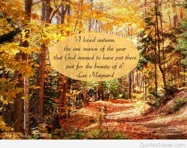 Beautiful Thanksgiving Quotes
 thanksgiving quotes