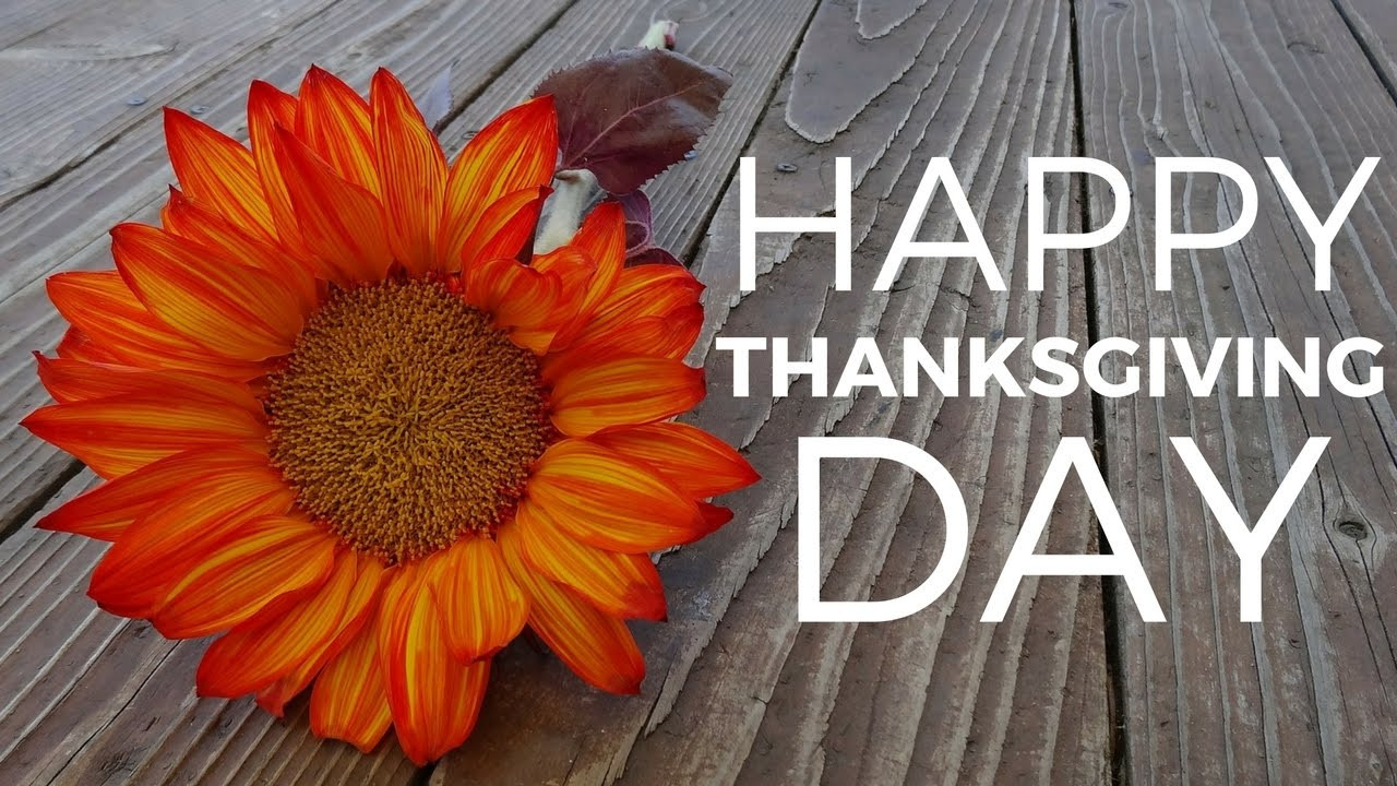 Beautiful Thanksgiving Quotes
 Best Wishes For Thanksgiving Day
