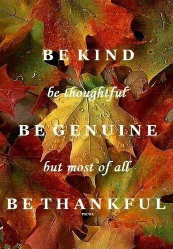 Beautiful Thanksgiving Quotes
 Be kind be thoughtful be genuine but most of all be