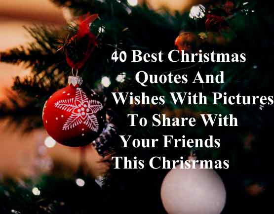 Best Friend Christmas Quotes
 50 Amazing Dance Quotes Which can Make You Love Dancing