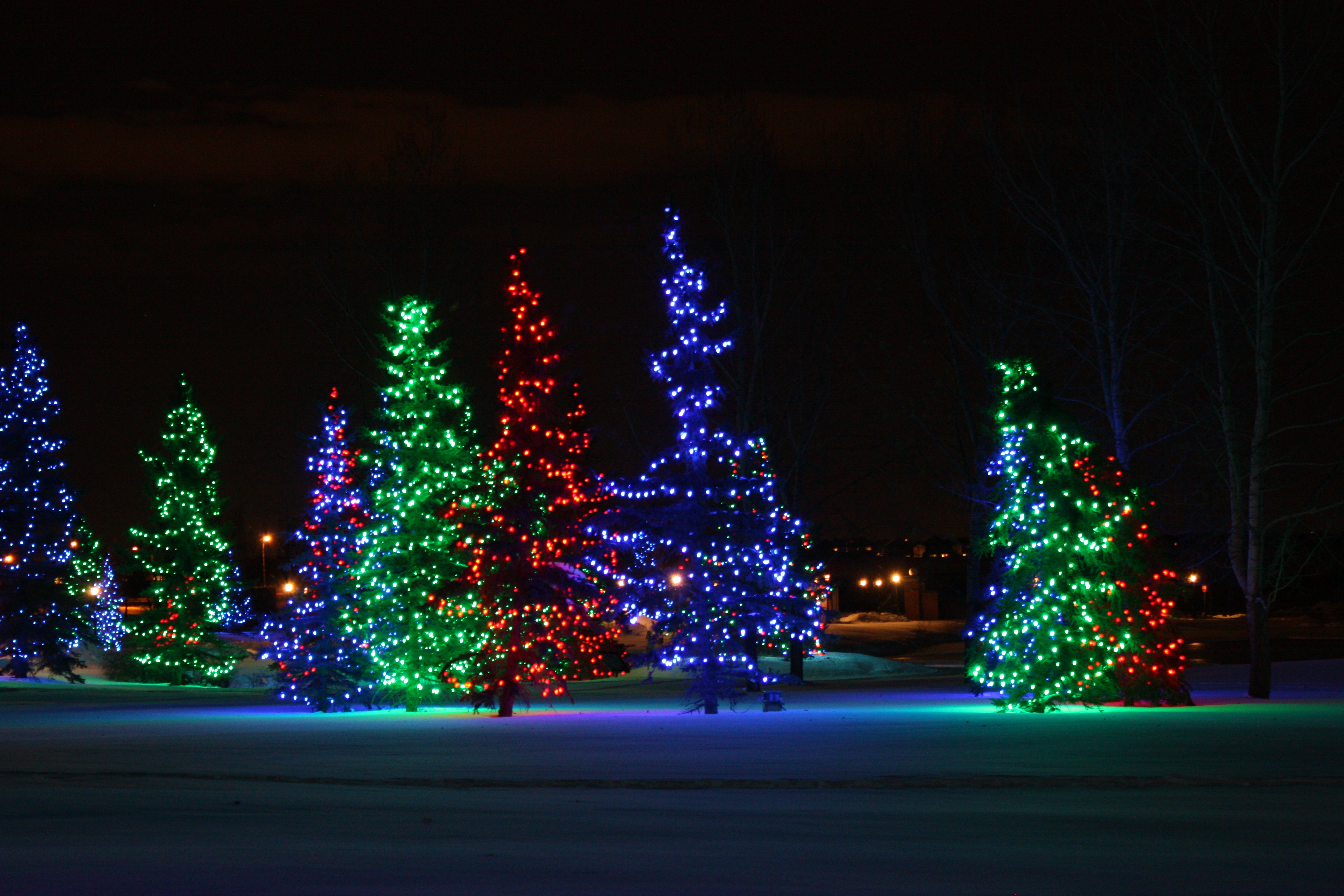 Best Outdoor Christmas Lights
 Holiday Lights at Spruce Meadows