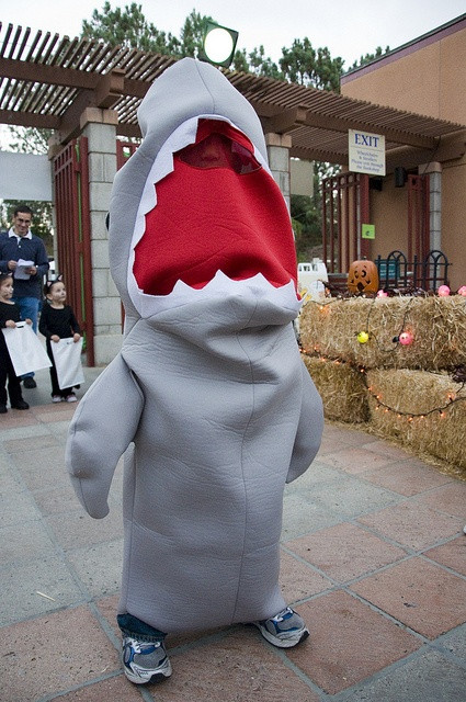 Birch Aquarium Halloween
 1000 images about Dress Up on Pinterest