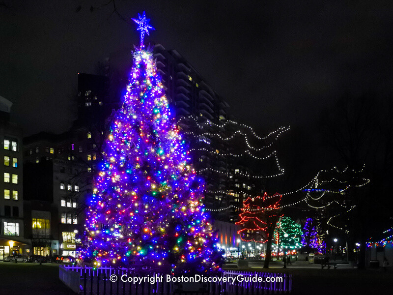 Boston Christmas Tree Lighting 2019
 Best Things to Do in Boston in December 2019 Boston