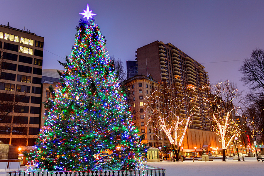 Boston Christmas Tree Lighting 2019
 Christmas Tree Lightings and Holiday Events around Boston