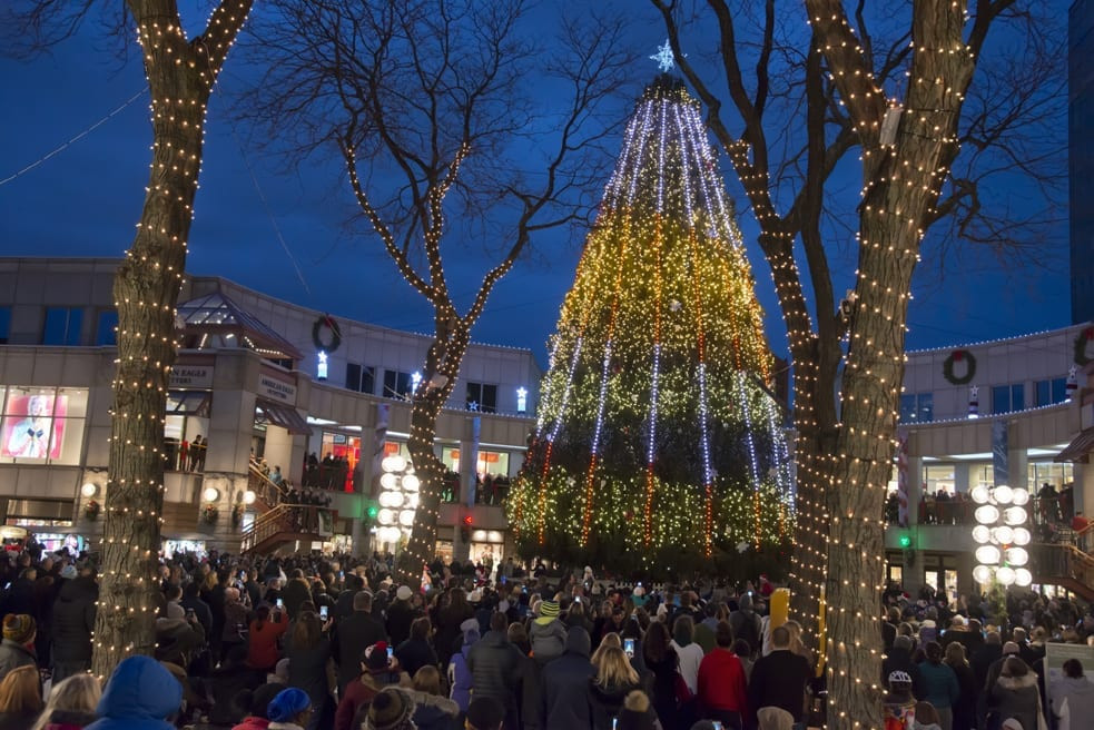 Boston Christmas Tree Lighting 2019
 Blink