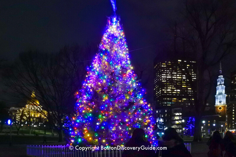Boston Christmas Tree Lighting 2019
 Best Christmas in Boston Events Christmas Eve Boston