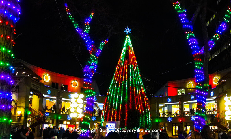 Boston Christmas Tree Lighting 2019
 Boston Events December 2019 Top Things to Do Boston