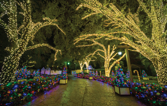 Busch Garden Christmas Town
 Christmas Town Returns to Busch Gardens Tampa the Go