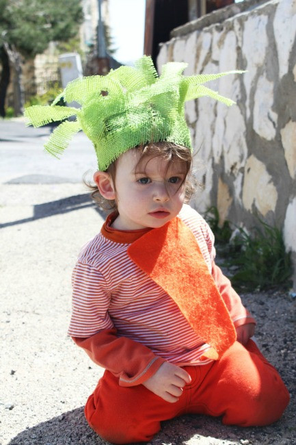 Carrot Costume DIY
 Toddler Halloween Costumes How Wee Learn