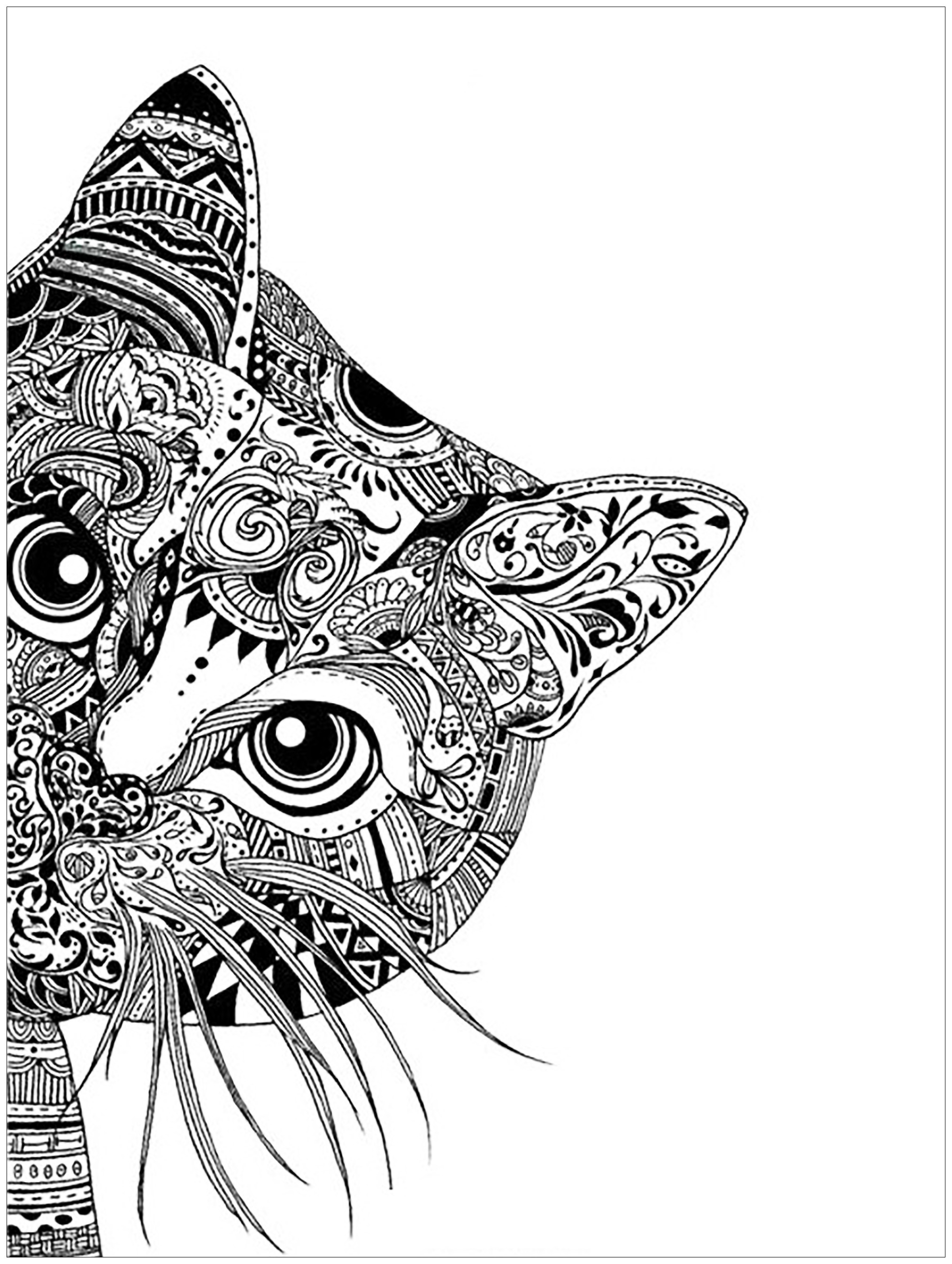 Cat Adult Coloring Book
 Pages cat head
