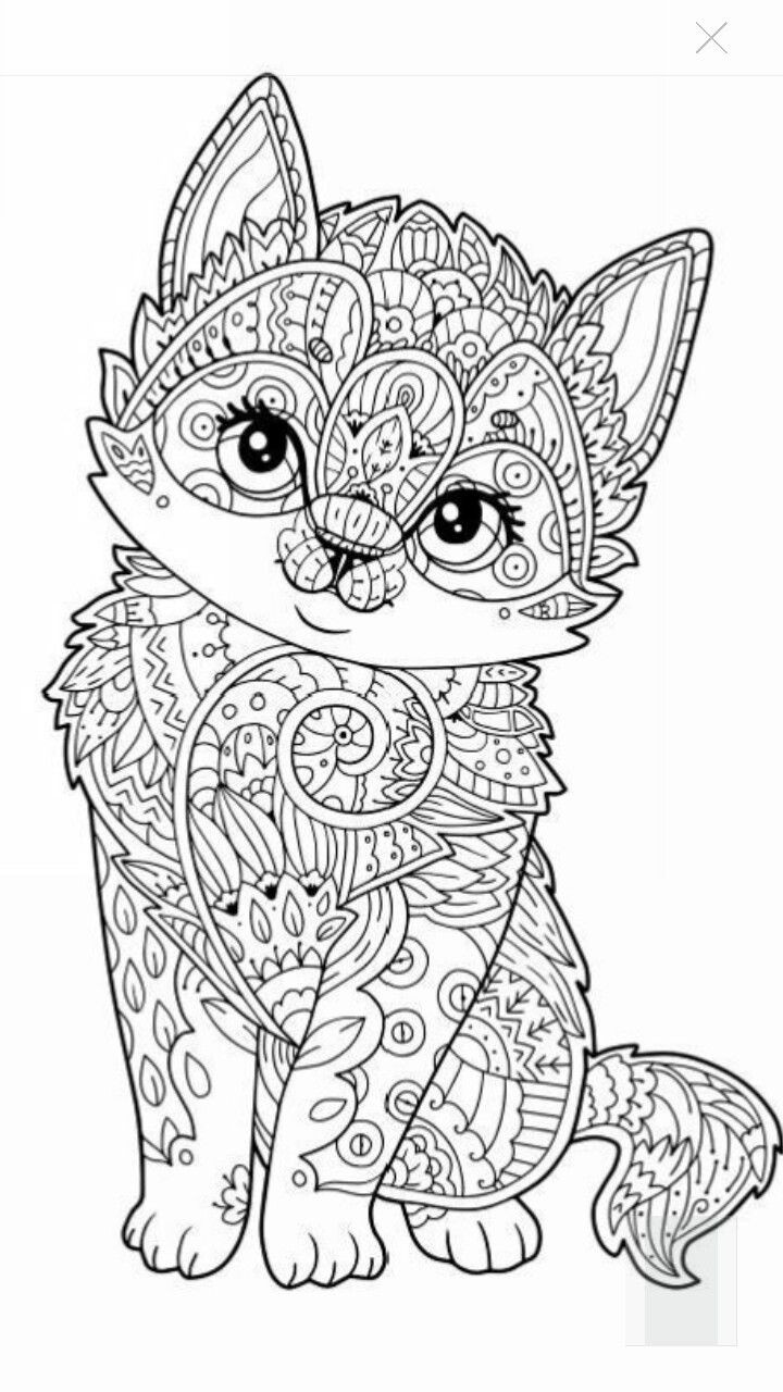 Cat Adult Coloring Book
 627 best images about Adult Colouring Cats Dogs