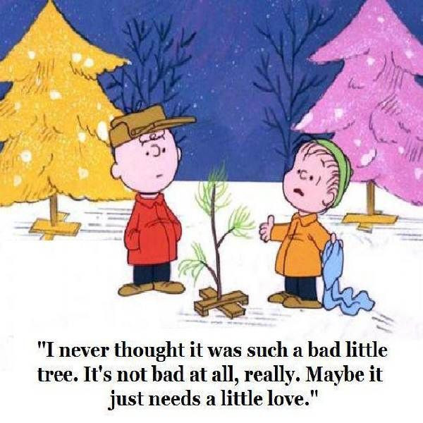 Charlie Brown Christmas Tree Quotes
 17 Best Charlie Brown Christmas Quotes on Pinterest