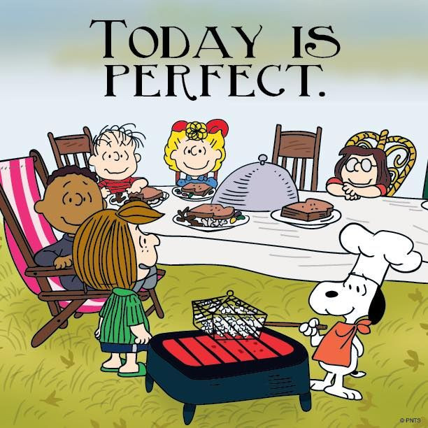 Charlie Brown Thanksgiving Quotes
 iLuv iLuvSnoopy Peanuts And The Gang