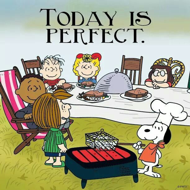 Charlie Brown Thanksgiving Quotes
 259 best images about Snoopy on Pinterest