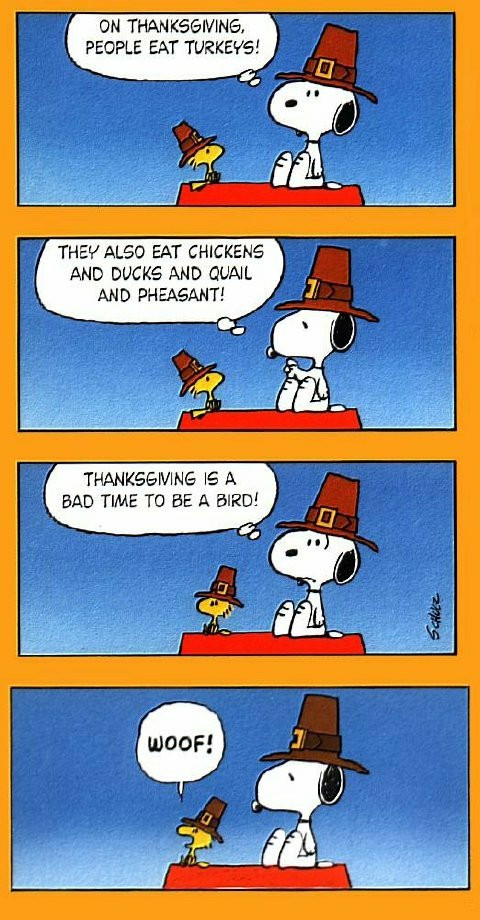 Charlie Brown Thanksgiving Quotes
 A Humorous Thanksgiving From Flower Shop Network