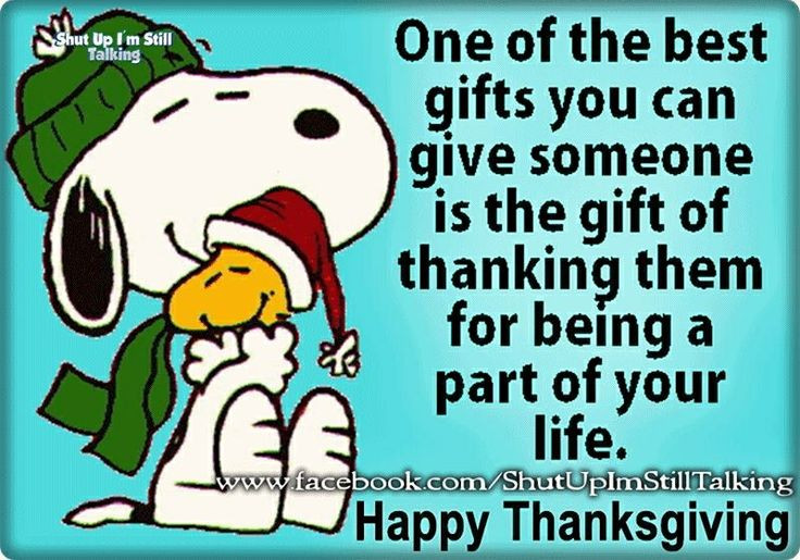 Charlie Brown Thanksgiving Quotes
 Best 1108 Charlie Brown images on Pinterest