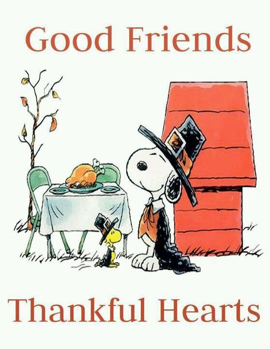 Charlie Brown Thanksgiving Quotes
 1055 best images about Charlie Brown and Snoopy on
