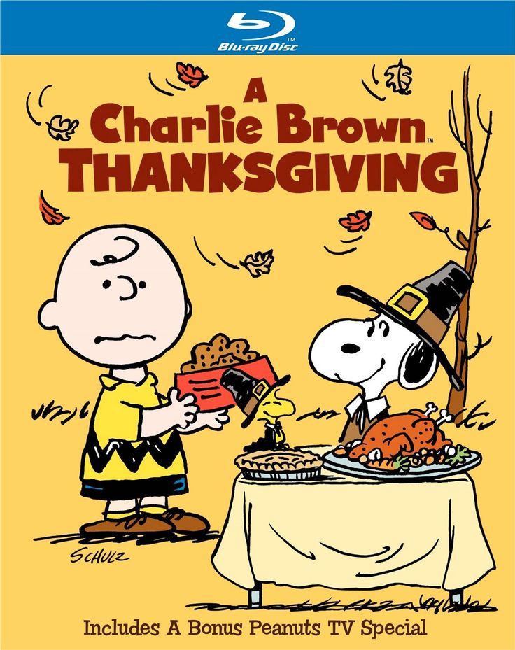Charlie Brown Thanksgiving Quotes
 57 best images about Gotta Love Snoopy on Pinterest