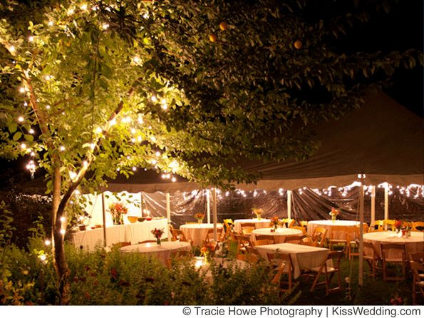 Cheap Backyard Party Ideas
 Best 25 Cheap backyard wedding ideas on Pinterest