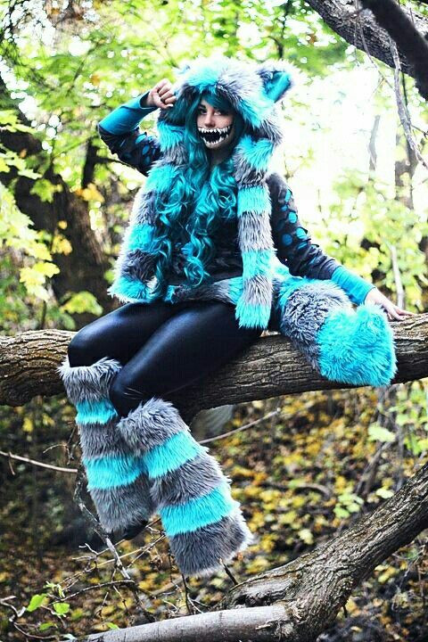 Cheshire Cat Costume DIY
 Cats For Adoption DoCatsNeedBaths Post Dragon
