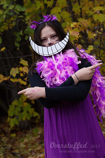 Cheshire Cat Costume DIY
 DIY Cheshire Cat Costume Overstuffed