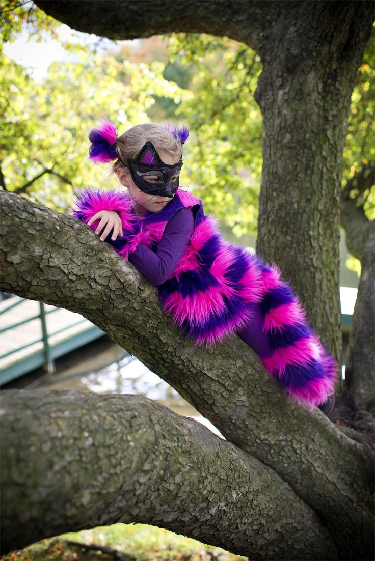 Cheshire Cat Costume DIY
 Best 25 Diy cat costume ideas on Pinterest