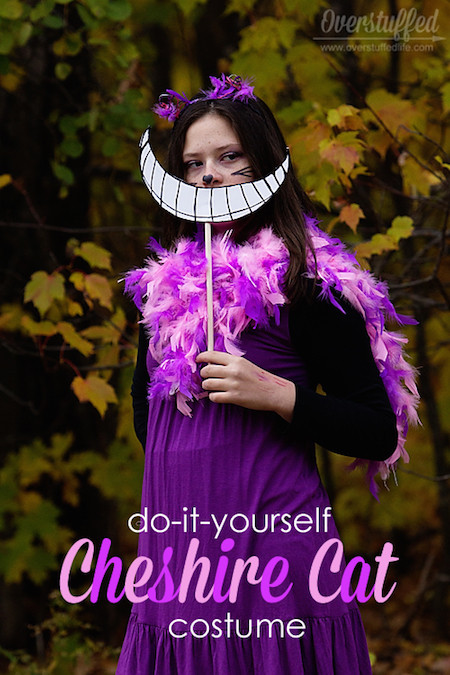 Cheshire Cat Costume DIY
 35 Last Minute DIY Halloween Costumes