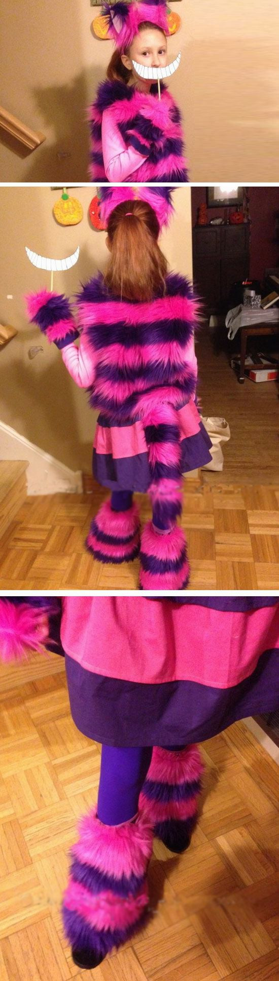 Cheshire Cat Costume DIY
 25 Easy DIY Halloween Costumes for Kids to Make