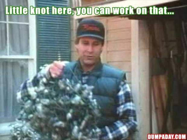 Chevy Chase Christmas Vacation Quotes
 25 best Christmas vacation quotes on Pinterest