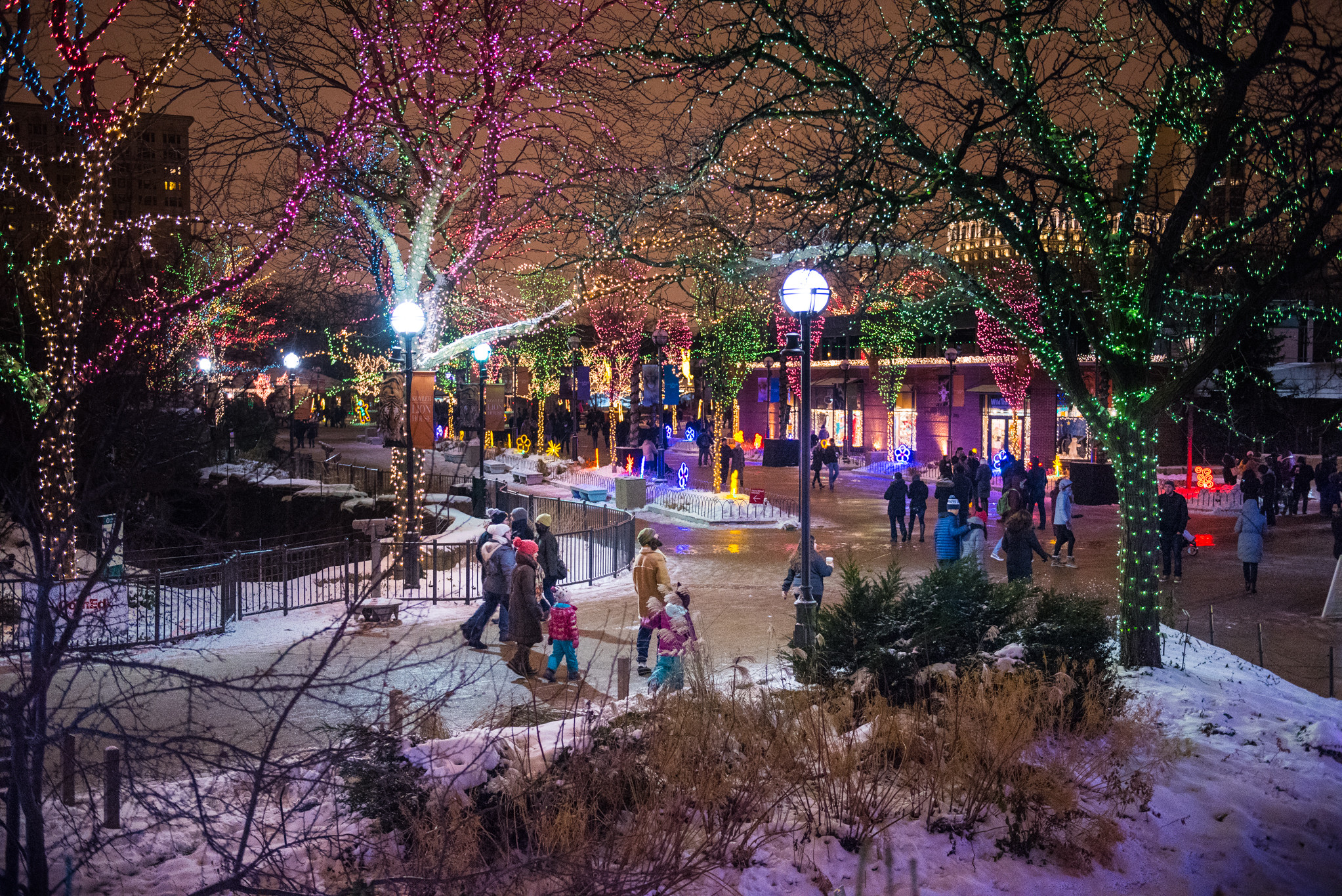 Chicago Christmas Lighting 2019
 Christmas In Chicago 2019 Guide Including Festive Things to Do