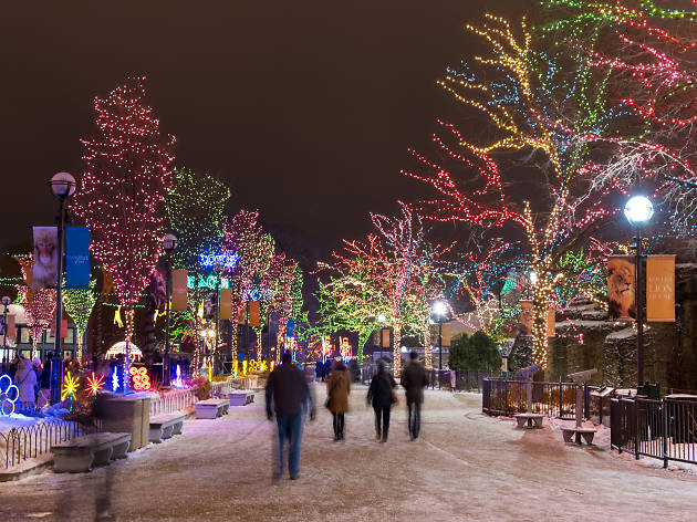 Chicago Christmas Lighting 2019
 10 Things to Do For Christmas In Chicago