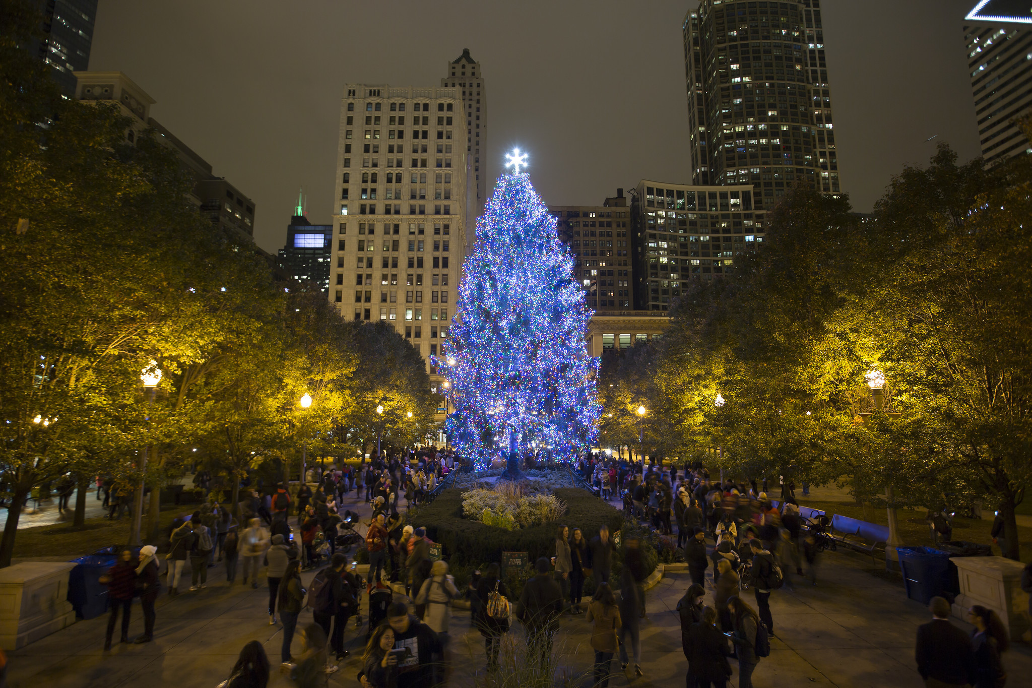 Chicago Christmas Lighting 2019
 Lighting The Christmas Tree In Chicago 2017